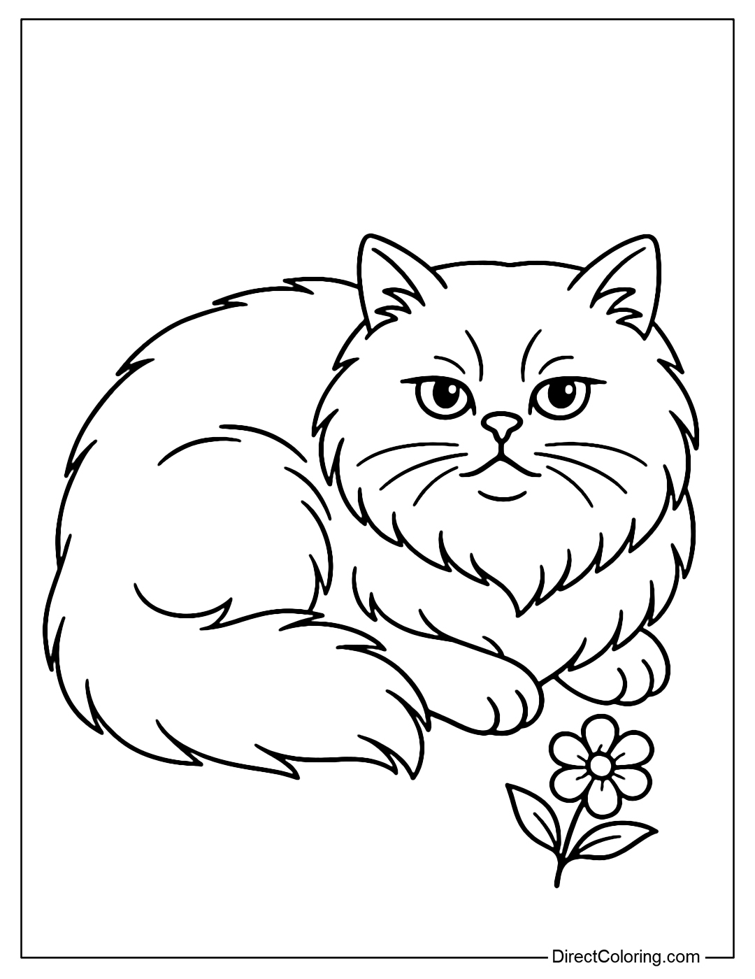 Coloring page of a fluffy Persian cat curled up, with a small flower next to it.